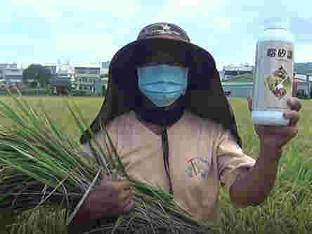 Potassium Silicate against Disease in Paddy Field 2021-06-17